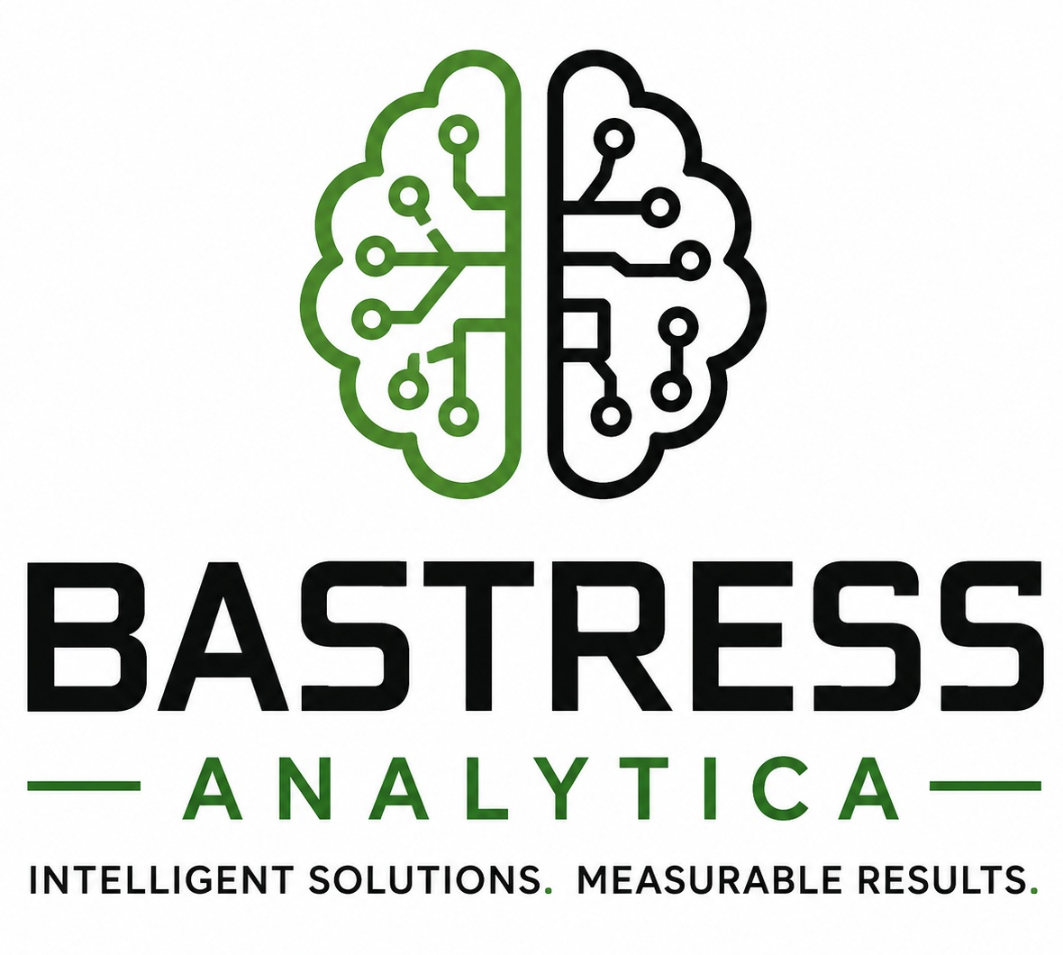 Bastress Analytica — Intelligent Solutions. Measurable Results.